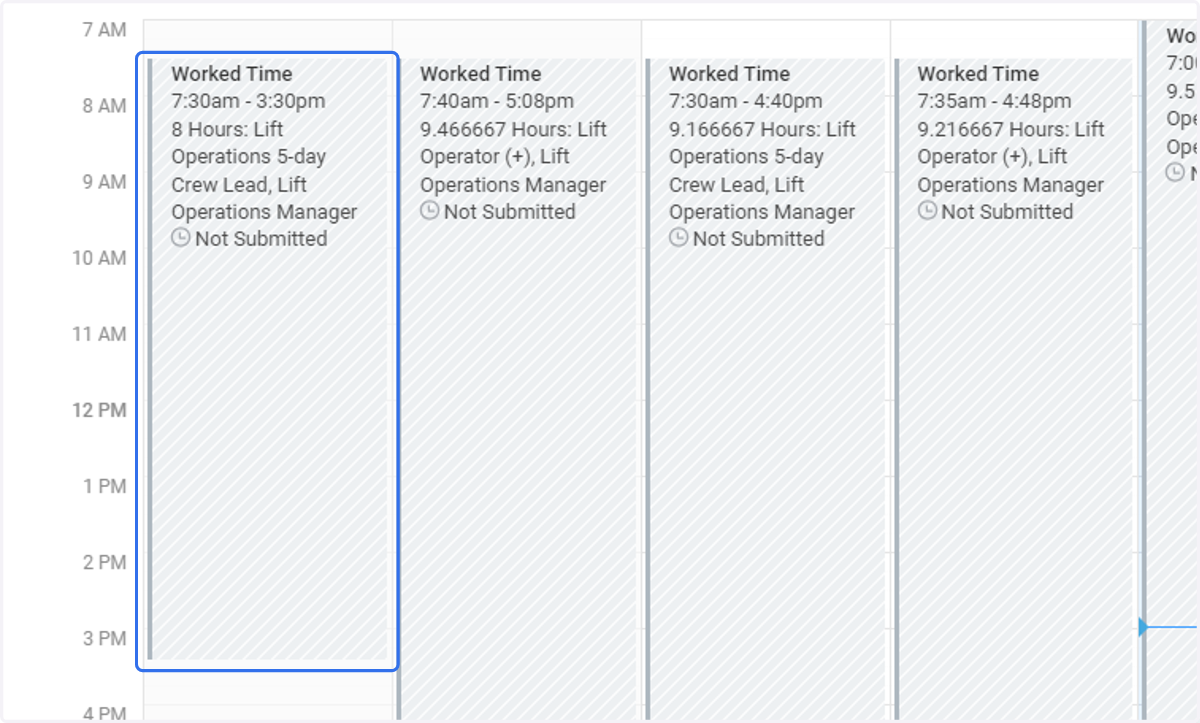 If you wish to closely review daily totals, you may click directly into the daily time block