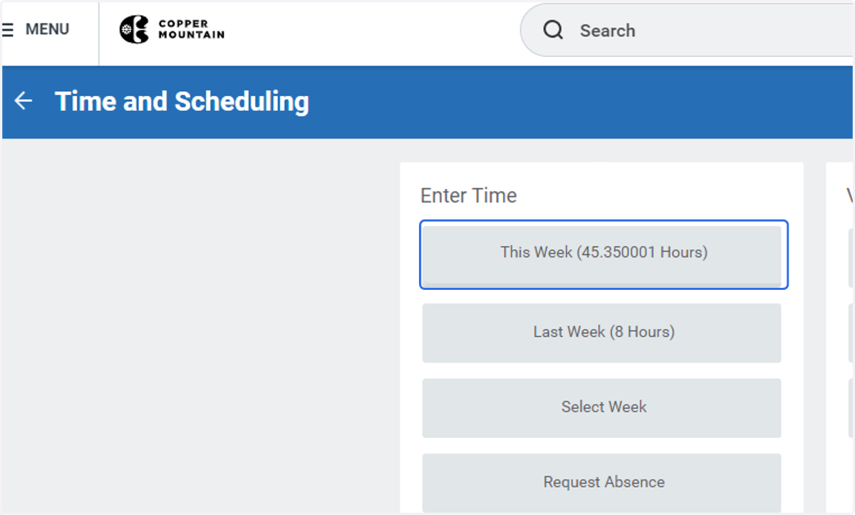 Under the Enter Time section, select each week that needs review