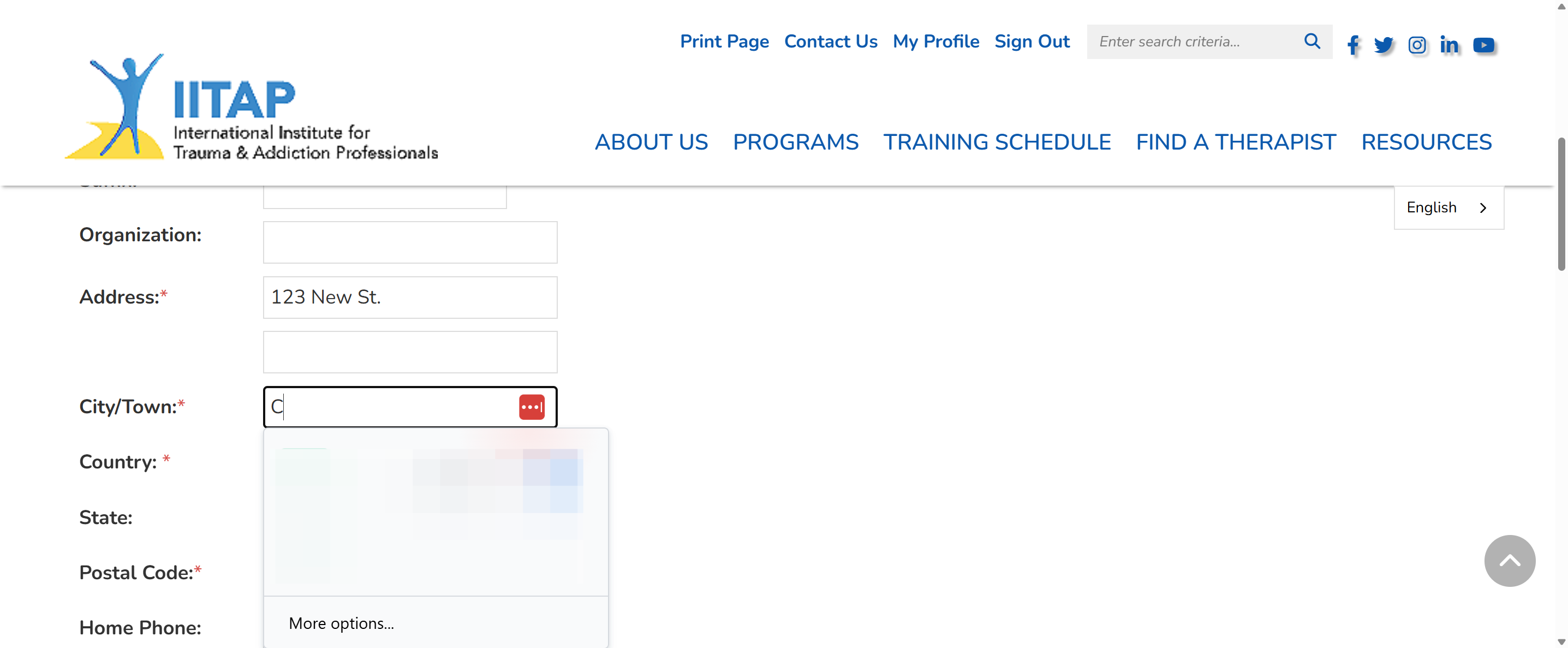 Fill out all "Required" text fields