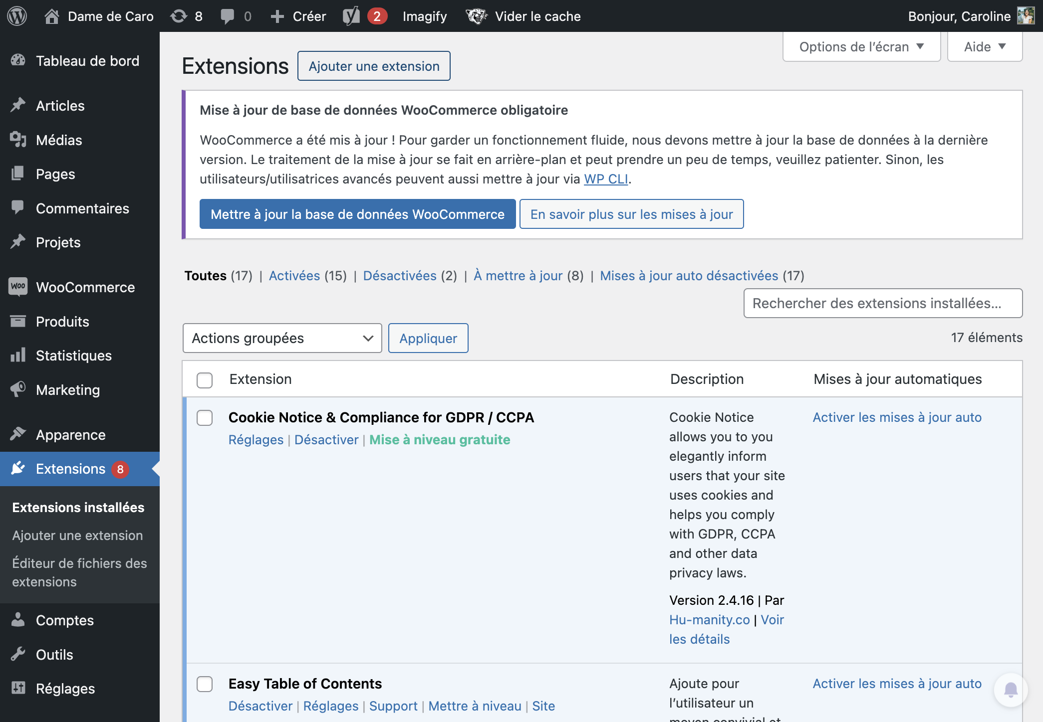 Cliquer sur Ajouter une extension