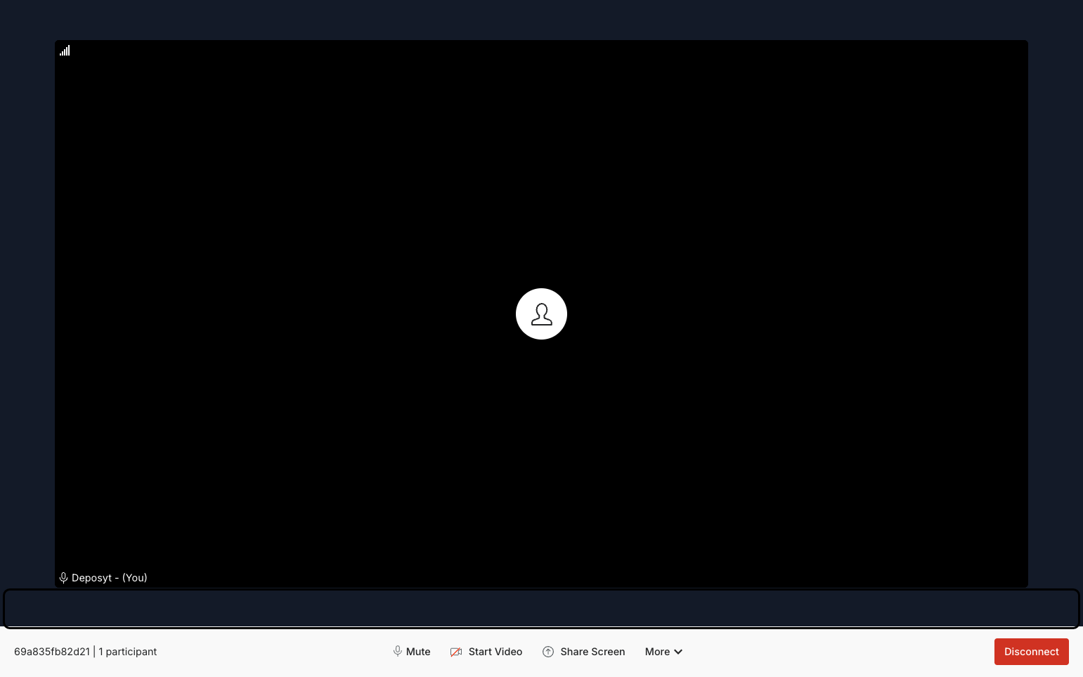 Step 5: You are now inside the call. You also have options to toggle your mic and video on or off, share your screen, and access more settings in this window.