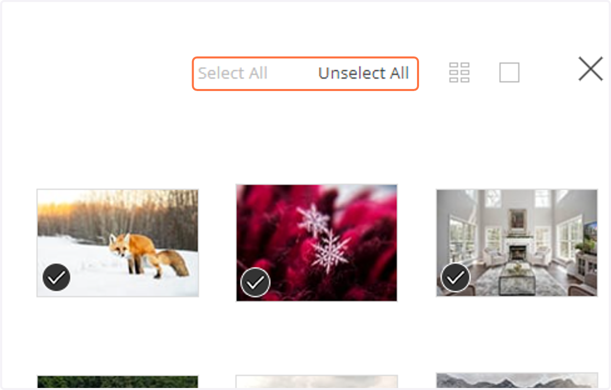 You can choose to "Select All" or "Unselect All",