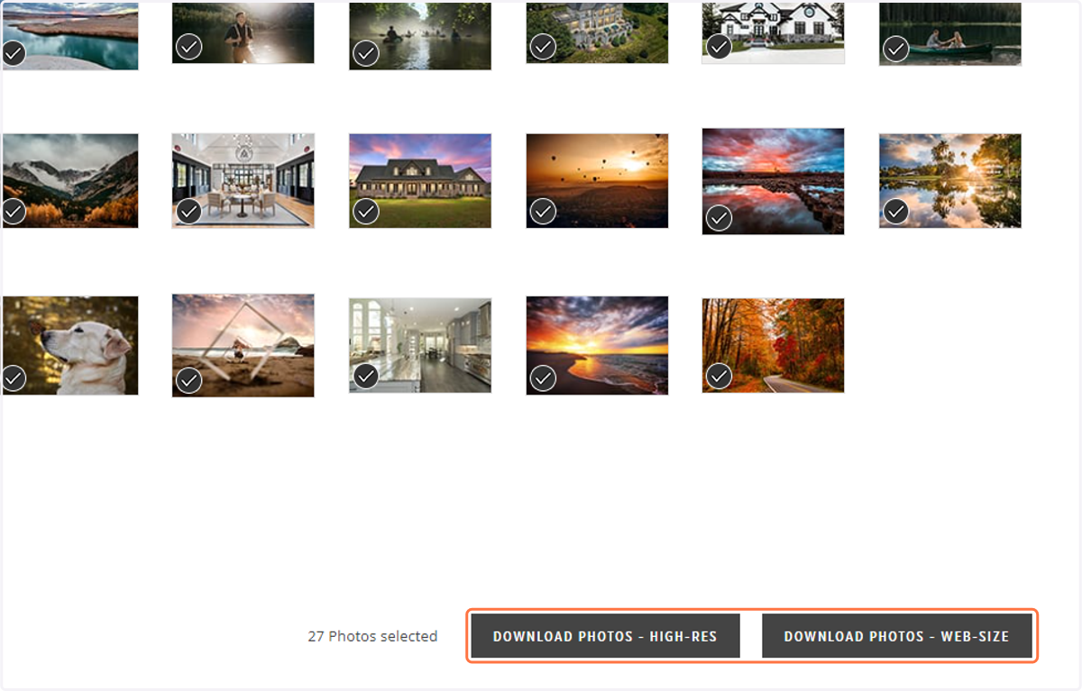 If the photographer has allowed multiple size options, select the size you would like to download.