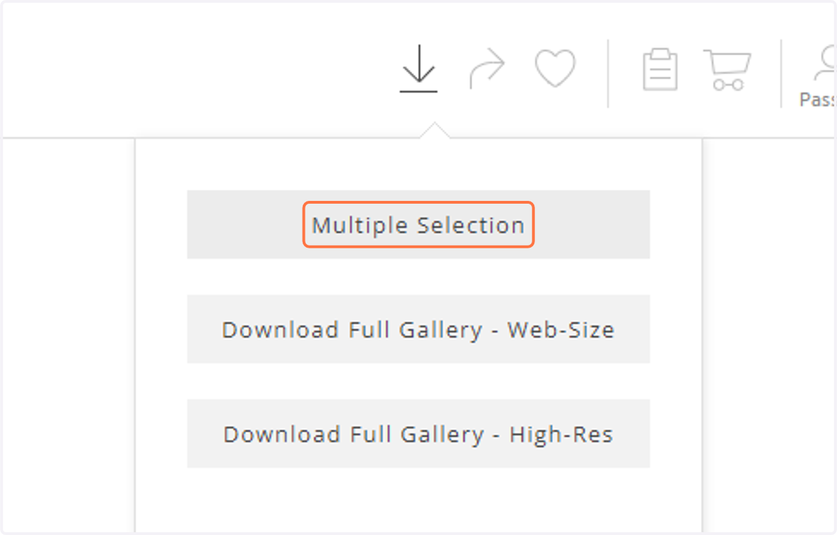 Click on "Multiple Selection".