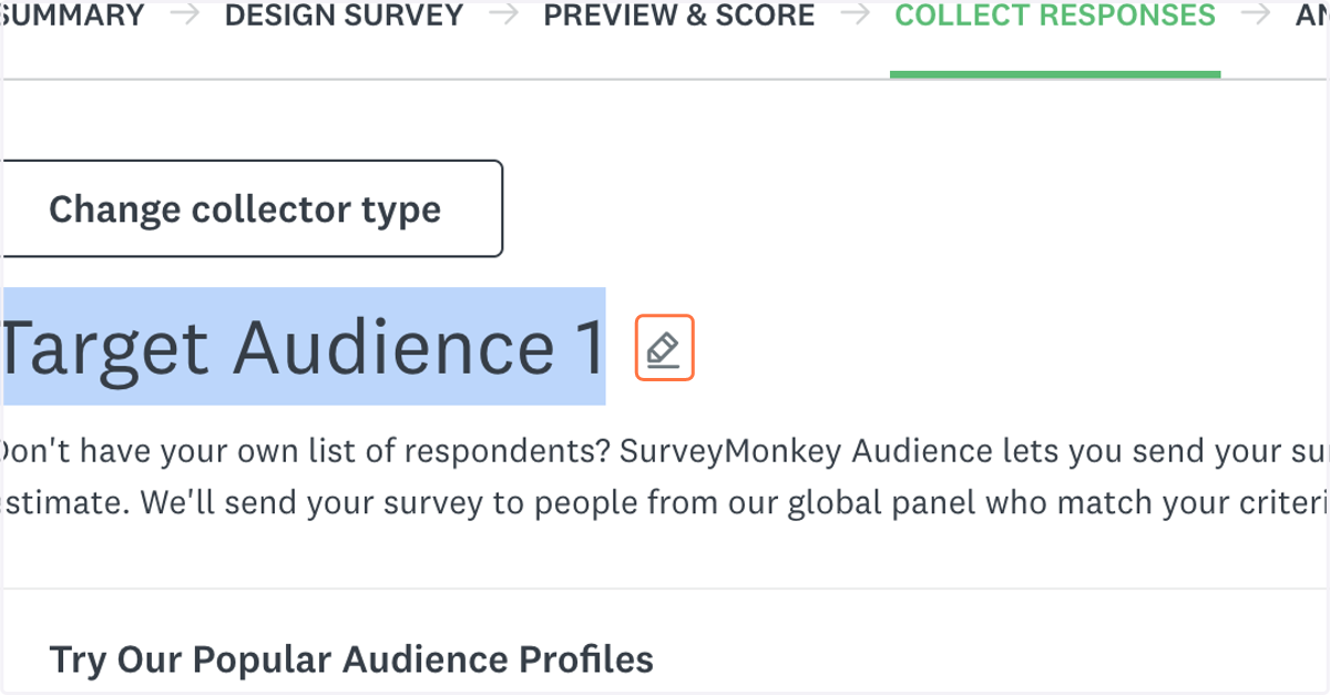 Click on this pencil to edit your target audience name