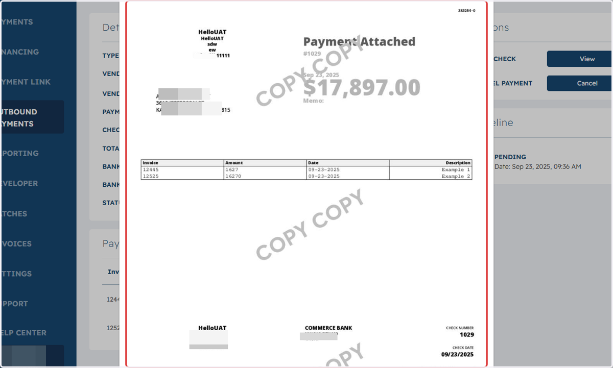 Popup of the check and remittance will appear.