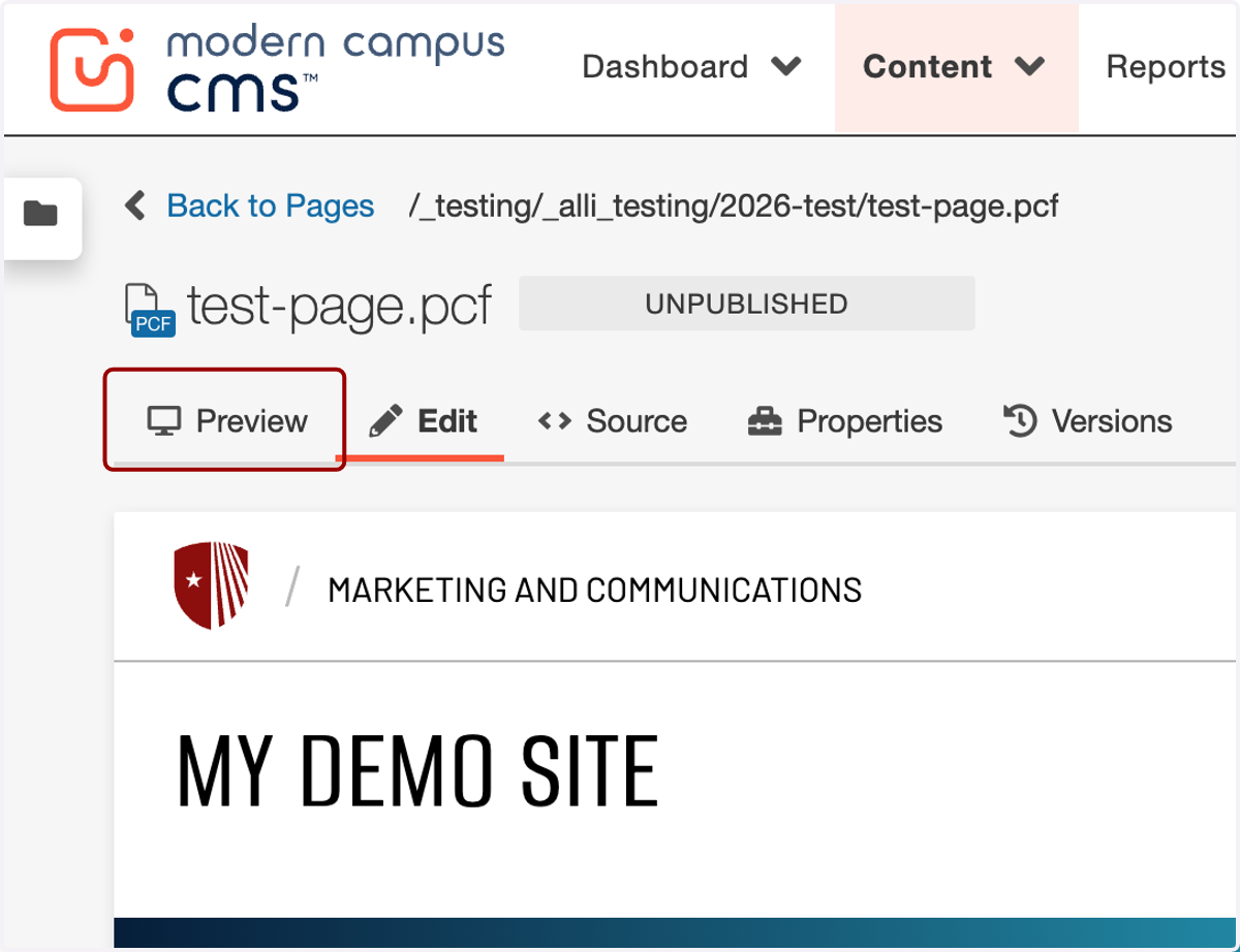 Editor header area with the Preview tab highlighted to review changes.