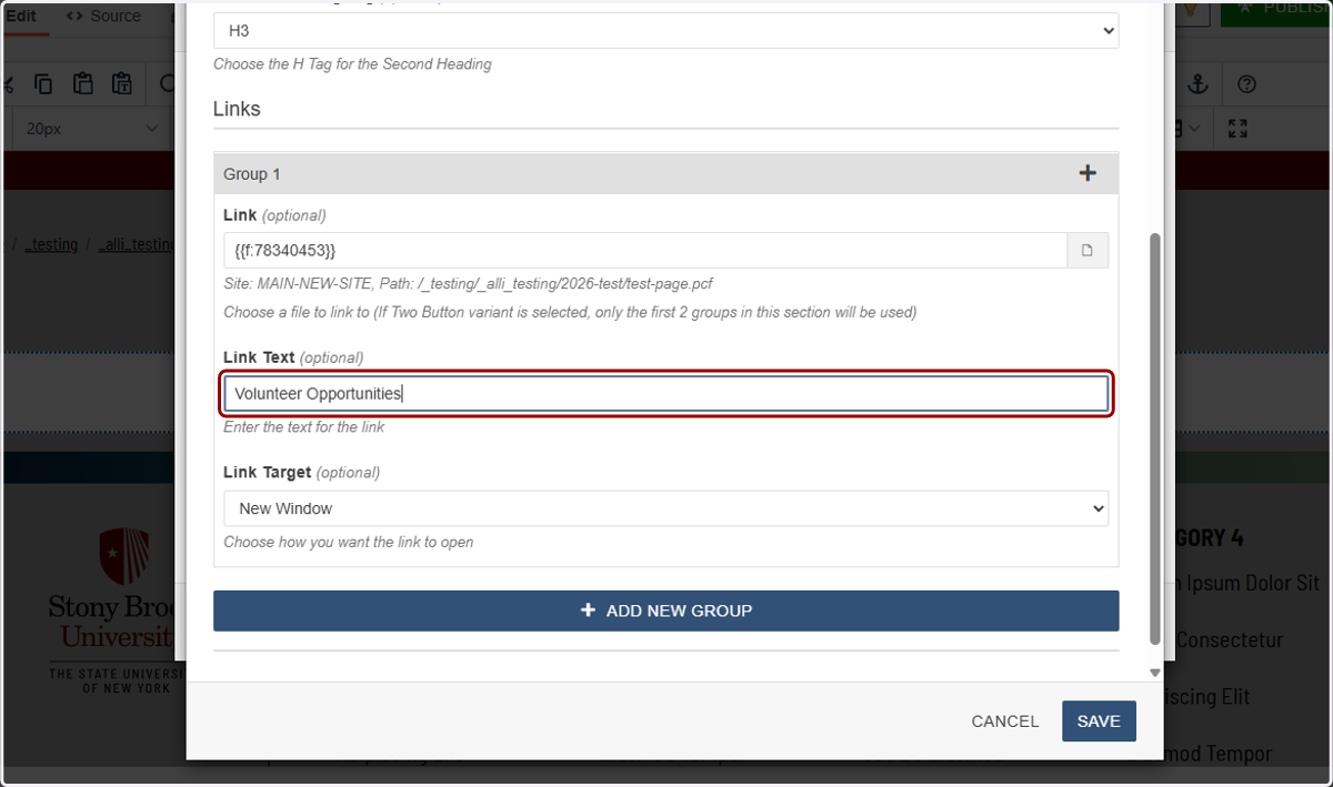 Link Text field highlighted for entering a descriptive button label.