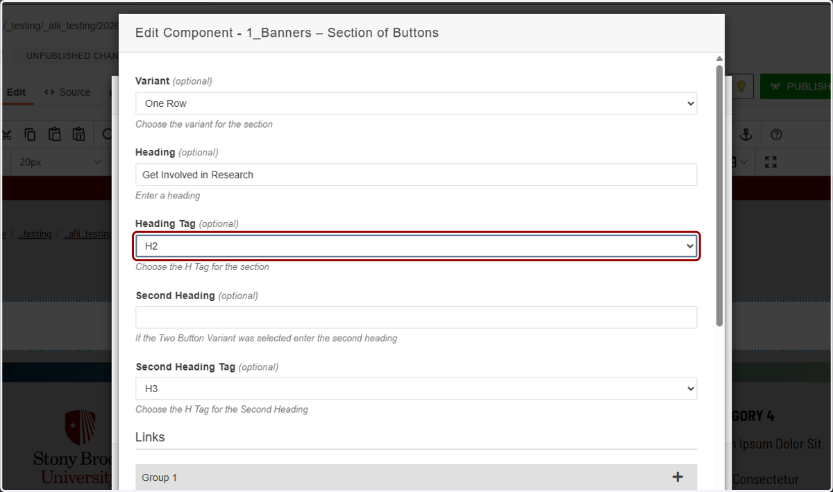 Heading level selector highlighted for setting the heading tag (H2 shown as the default).