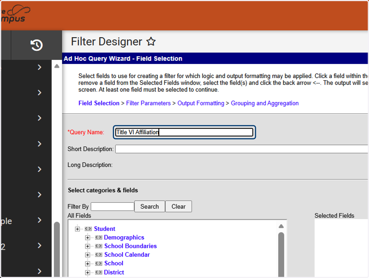Add a Query Name. In the example "Title VI Affiliation" was used.
