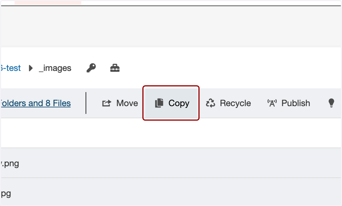 Once you've selected your images, click on Copy.
