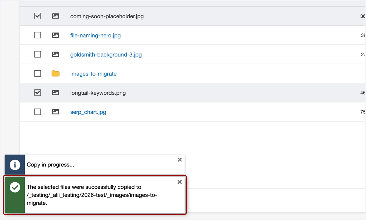 That message will be followed by a success message once the copy process is completed.