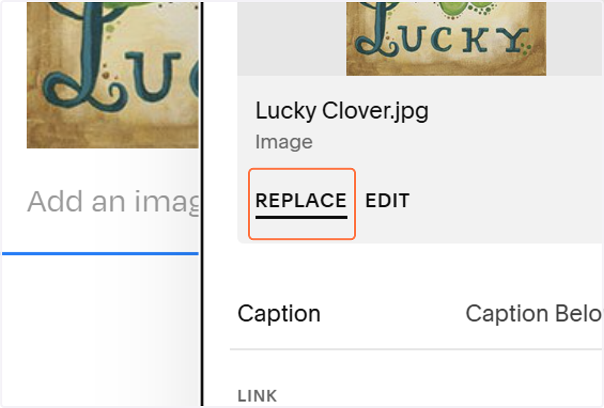 Click on REPLACE