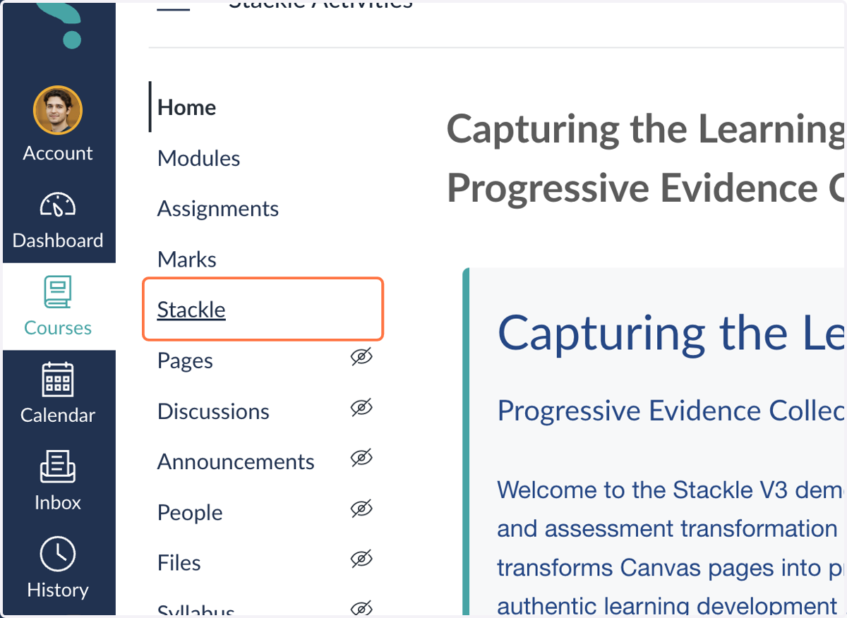 Click on Stackle in the left menu of your Course