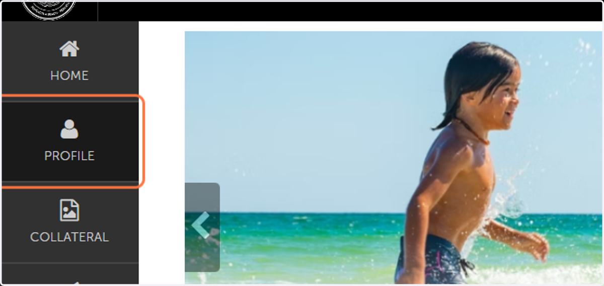 Click on PROFILE