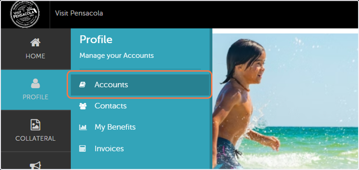 Click on Accounts