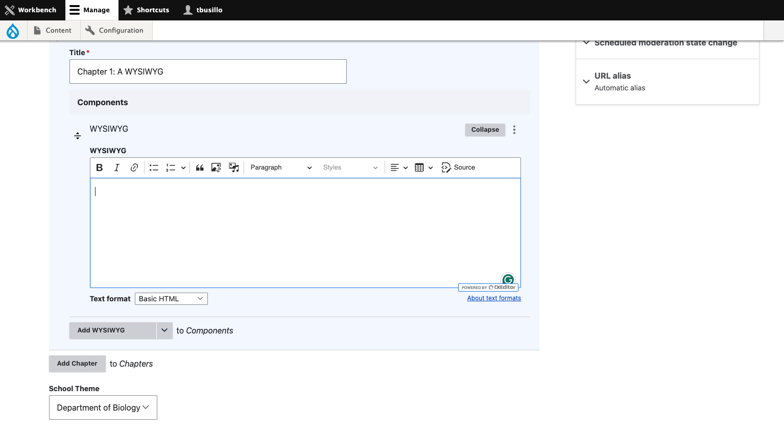 Type in the contents of your WYSIWYG