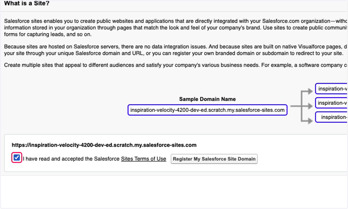 Check I have read and accepted the Salesforce Sites Terms of Use