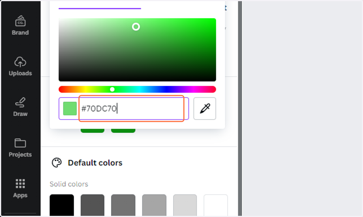 Paste the color Hex Code into the corresponding input