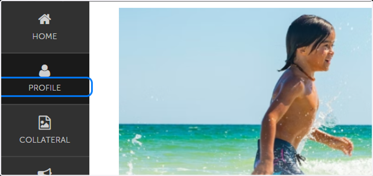 Click on PROFILE