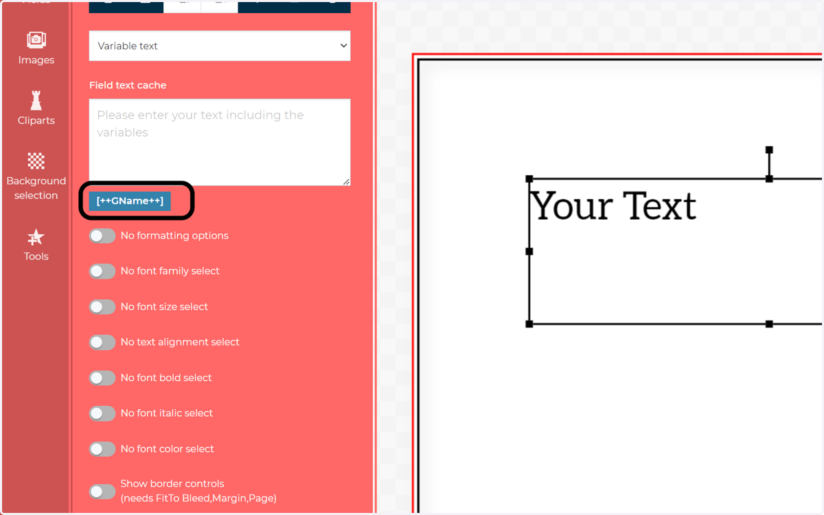 Any correctly defined variables will be displayed underneath the text cache input field.