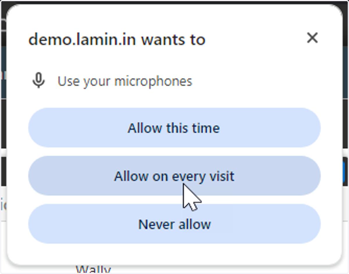 If your browser asks you to allow Laminin to access your microphone, select "Allow on every visit"