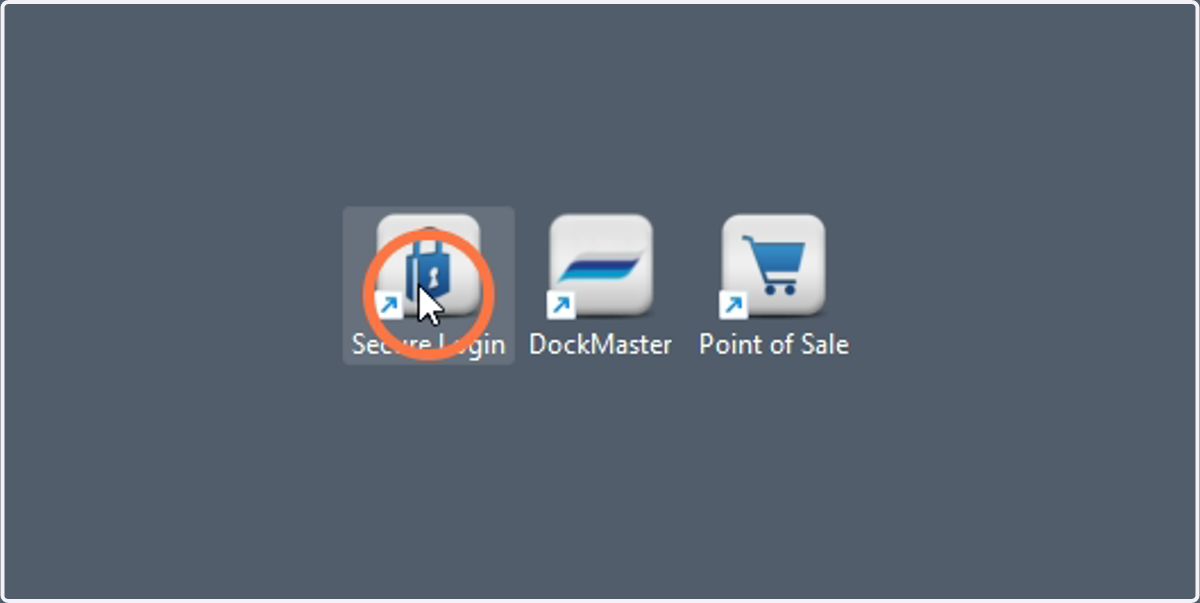 Double click on the Secure Login icon to begin