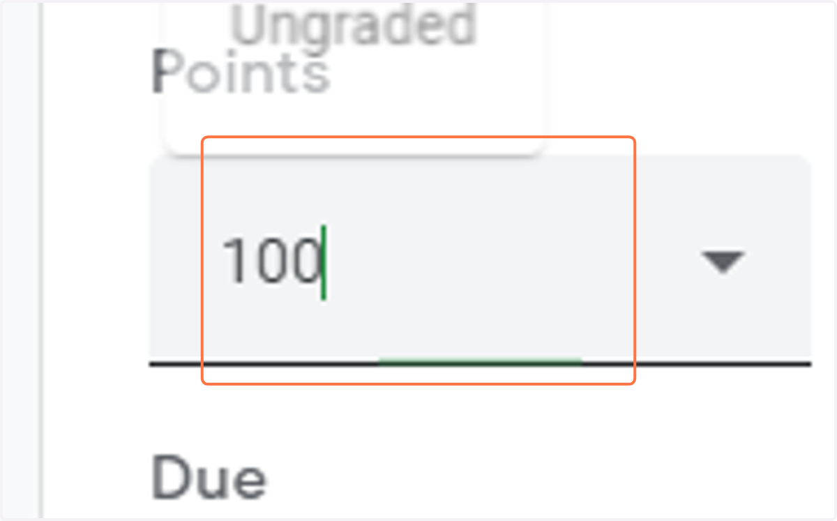 Optional: type in the number of points or select ungraded