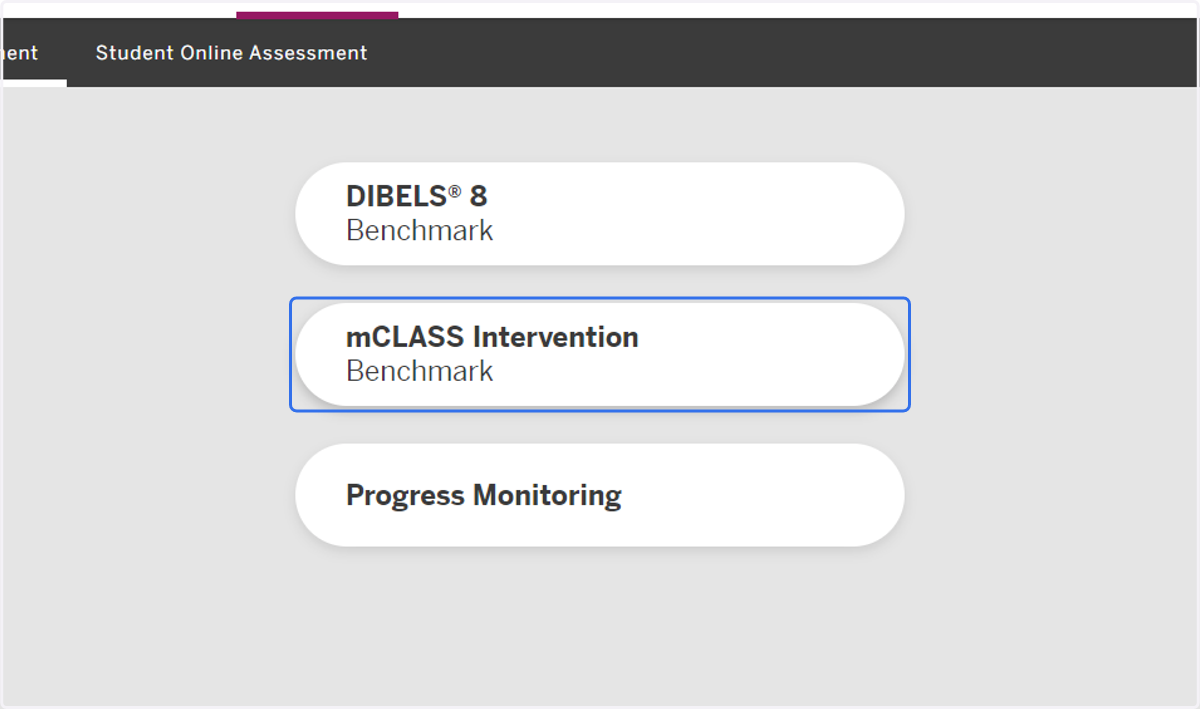 Click on mCLASS Intervention.