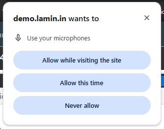 The first time a call is made you will need to allow Laminin access to use your microphone. Click on "Allow while visiting the site".
