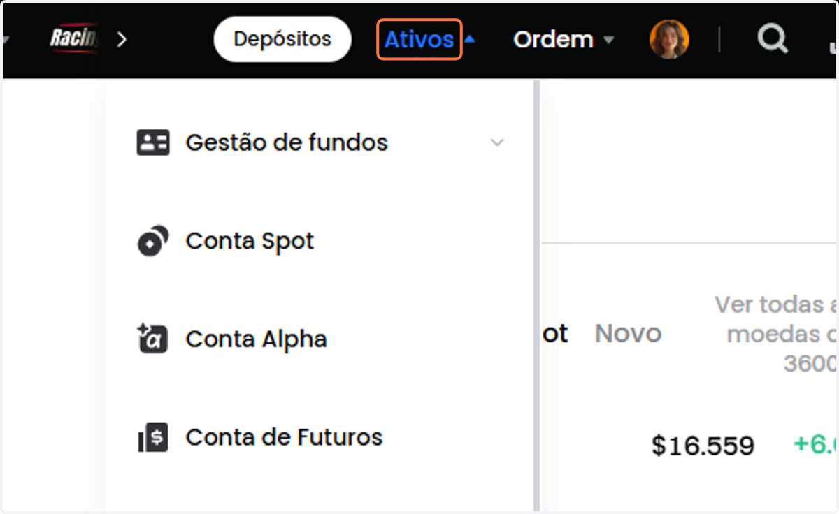 Passe o mouse em cima de Ativos