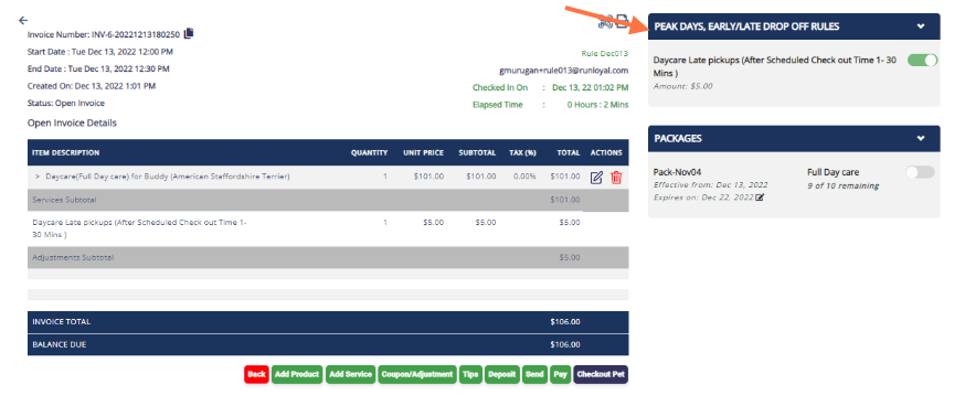 Once an appointment falls under the early drop off check in timeframe, their associated invoice will show a new tab and the pricing rule will automatically appear. [See similar example below for late pick-ups.]