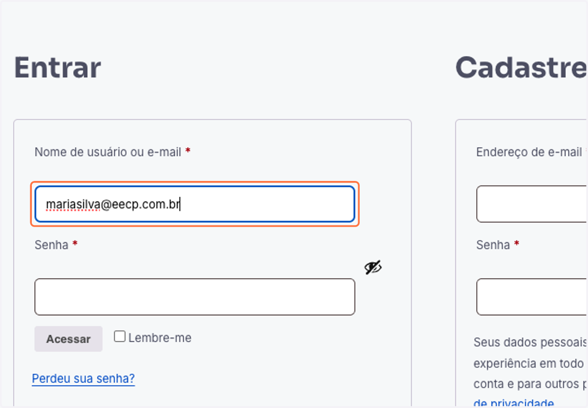 Insira o e-mail ex: "mariasilva@eecp.com.br" e senha padrão.