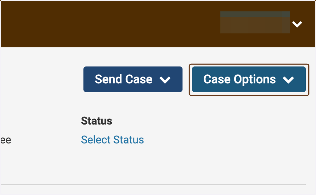 Click on Case Options