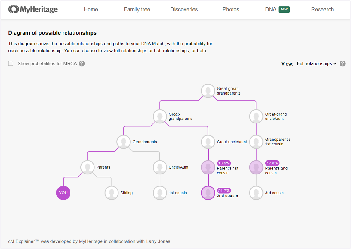 Scroll down a little further and you'll see a screen showing those possible relationships in a diagram.