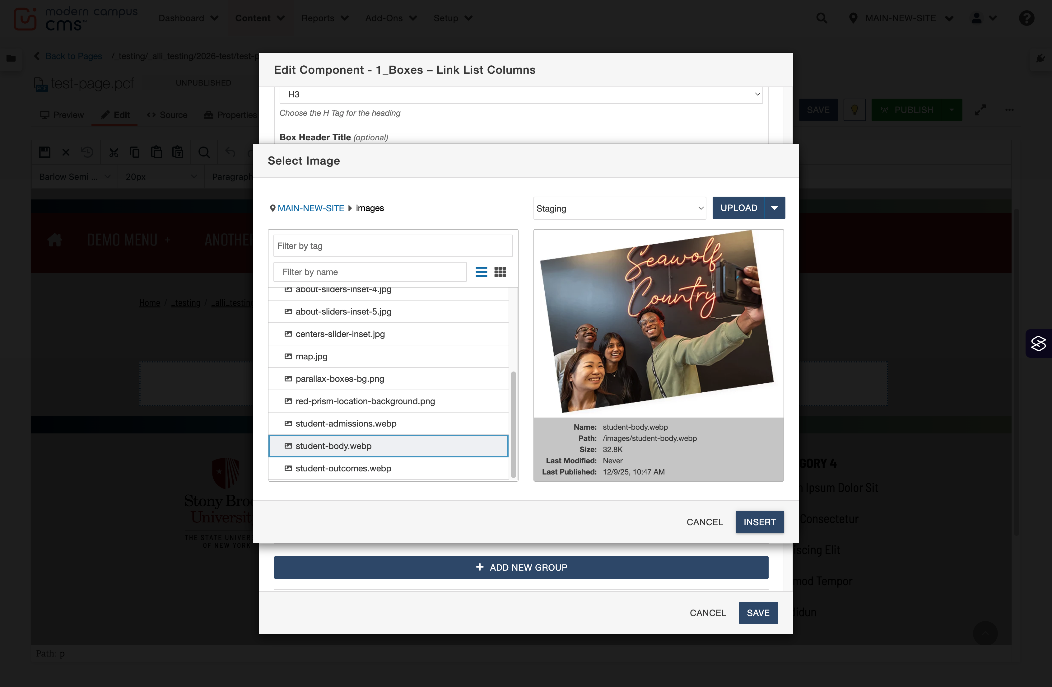 Image chooser window with the Insert button highlighted to select the chosen image.