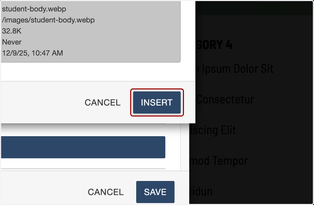 Image chooser window with the Insert button highlighted to select the chosen image.