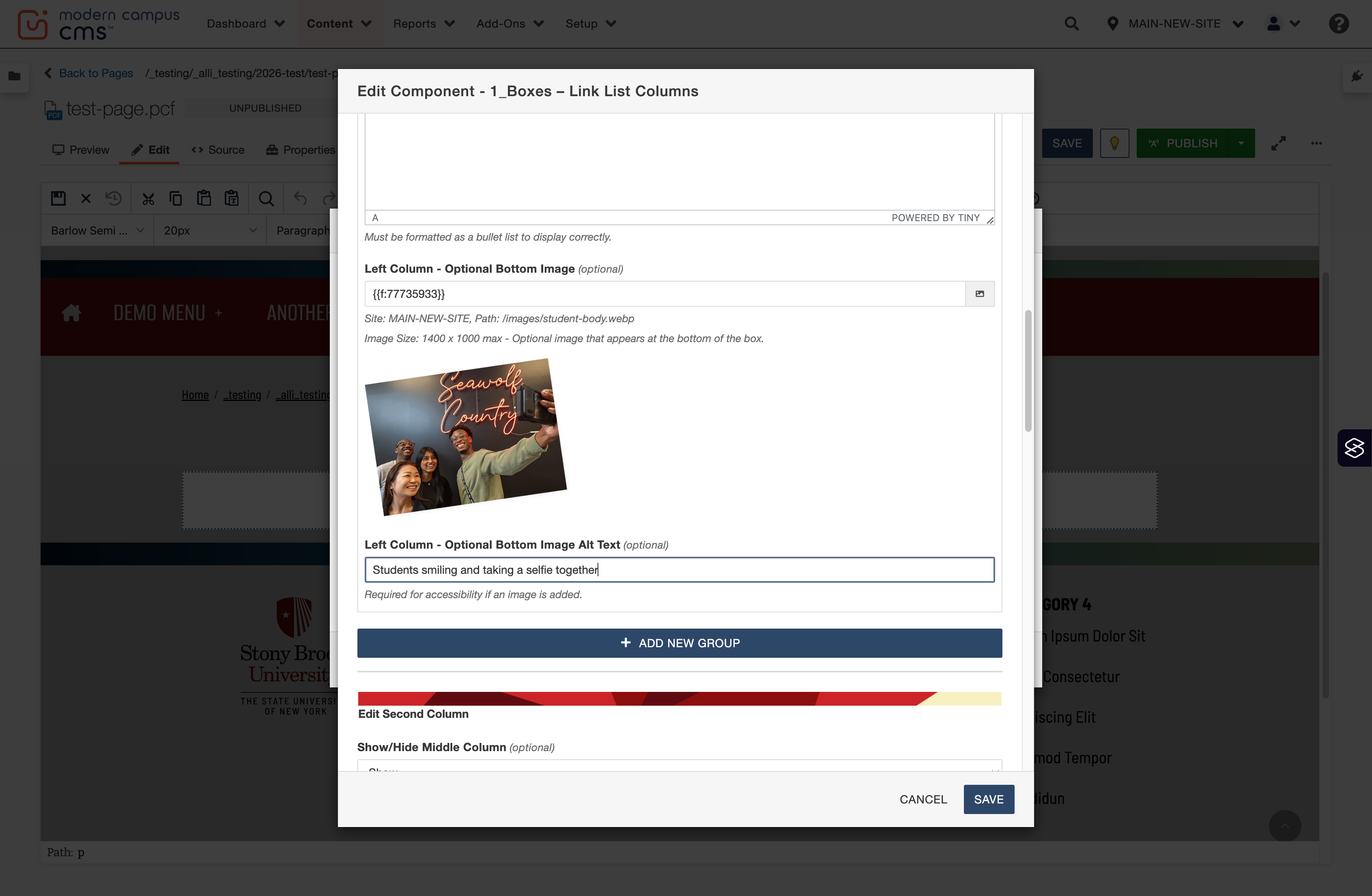 Image settings showing the Alt Text field highlighted, with example alt text entered.