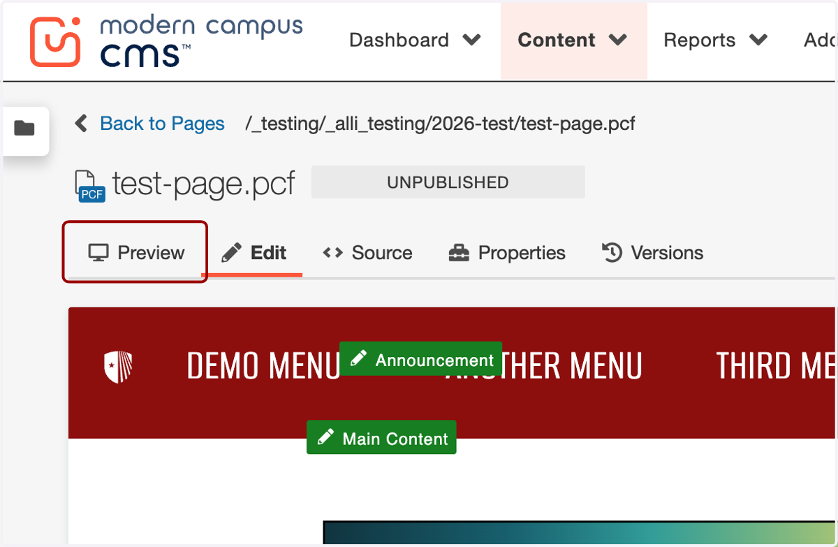 Editor header area with the Preview tab highlighted to review changes.