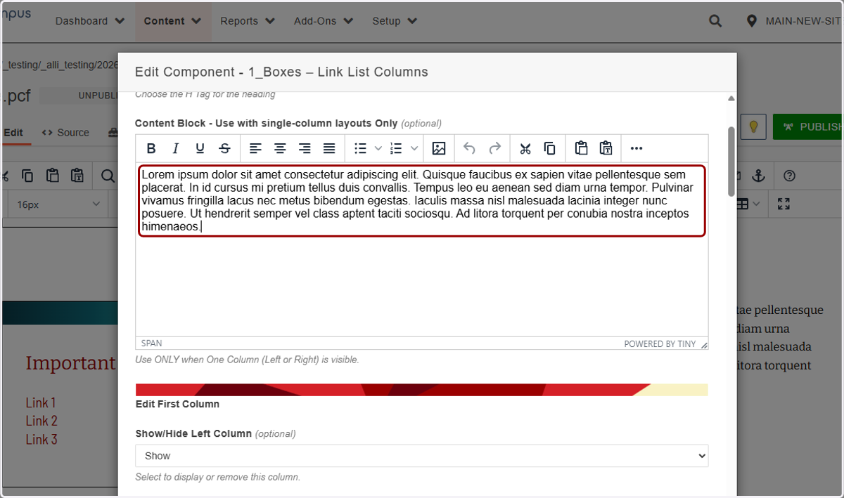 WYSIWYG editor field highlighted for entering the side content used with the single-column content block layout.