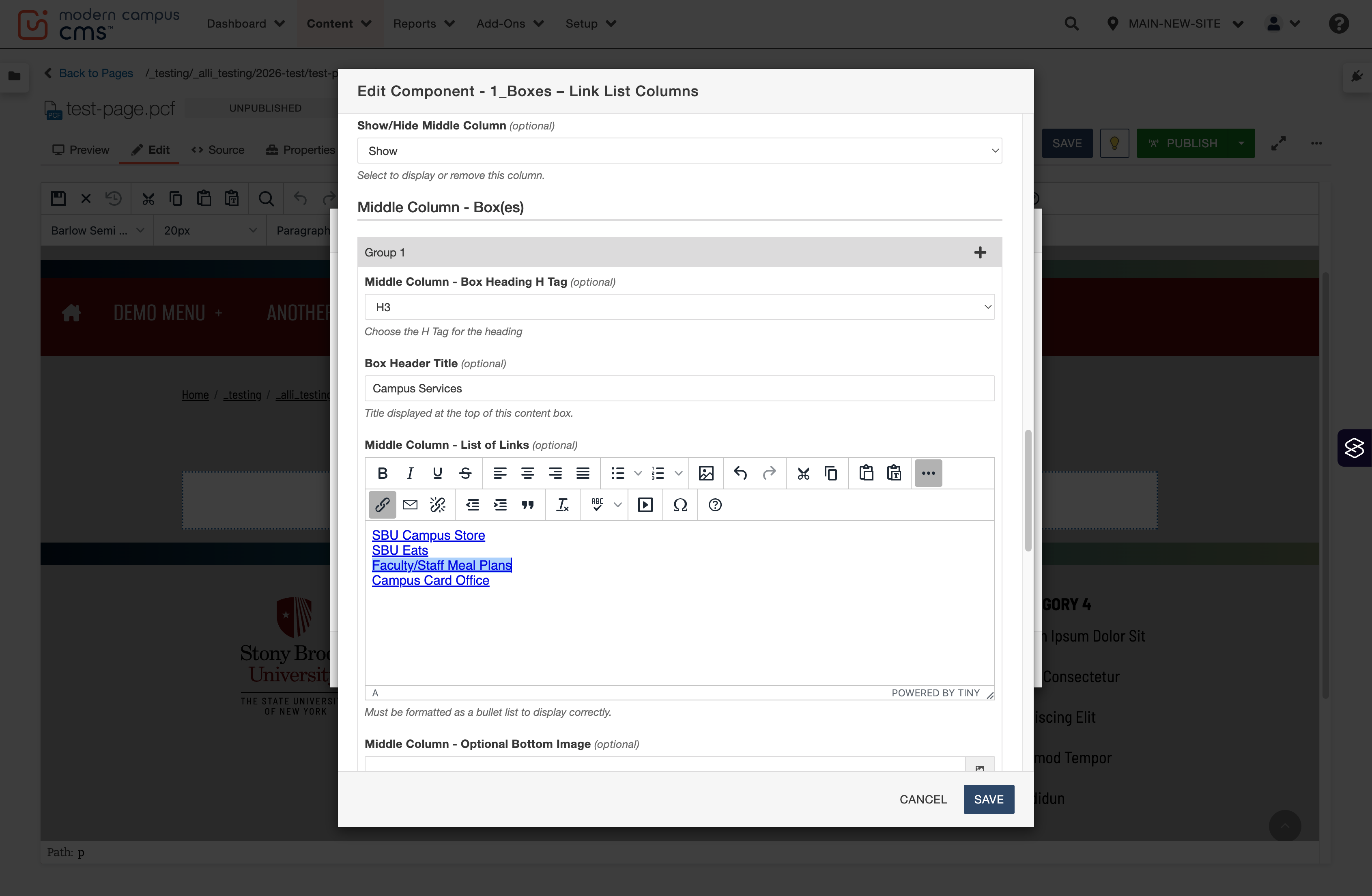 Second column link group completed, showing the populated list of links in the WYSIWYG.