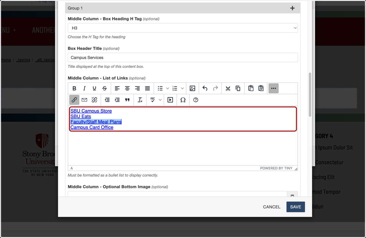 Second column link group completed, showing the populated list of links in the WYSIWYG.