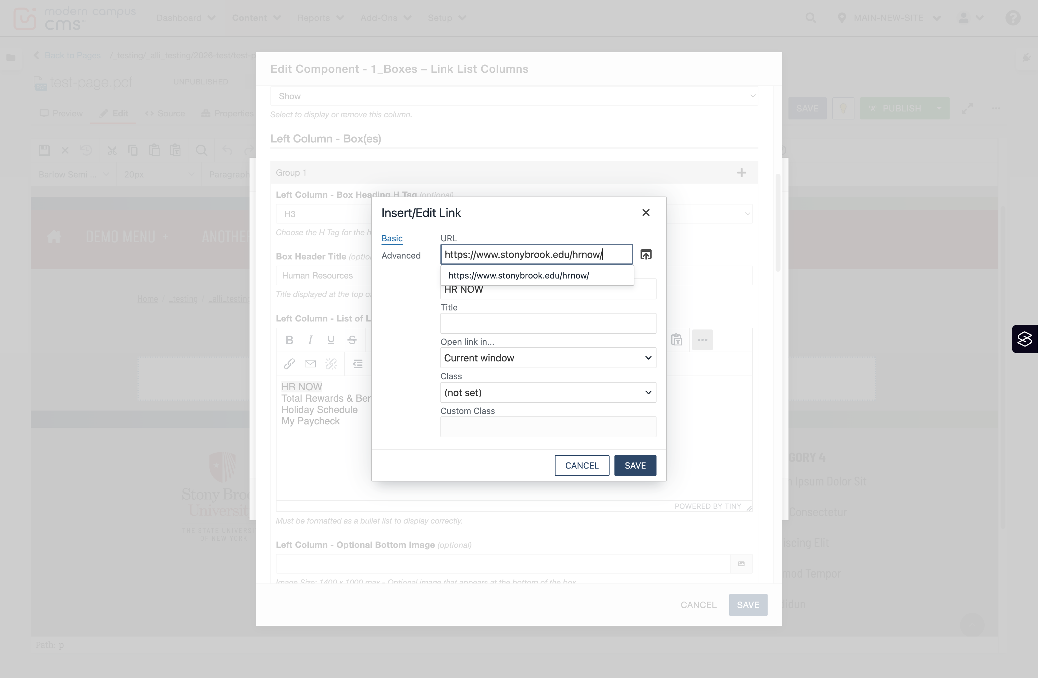 Insert/Edit Link window with the URL field filled in (example: stonybrook.edu/hrnow).