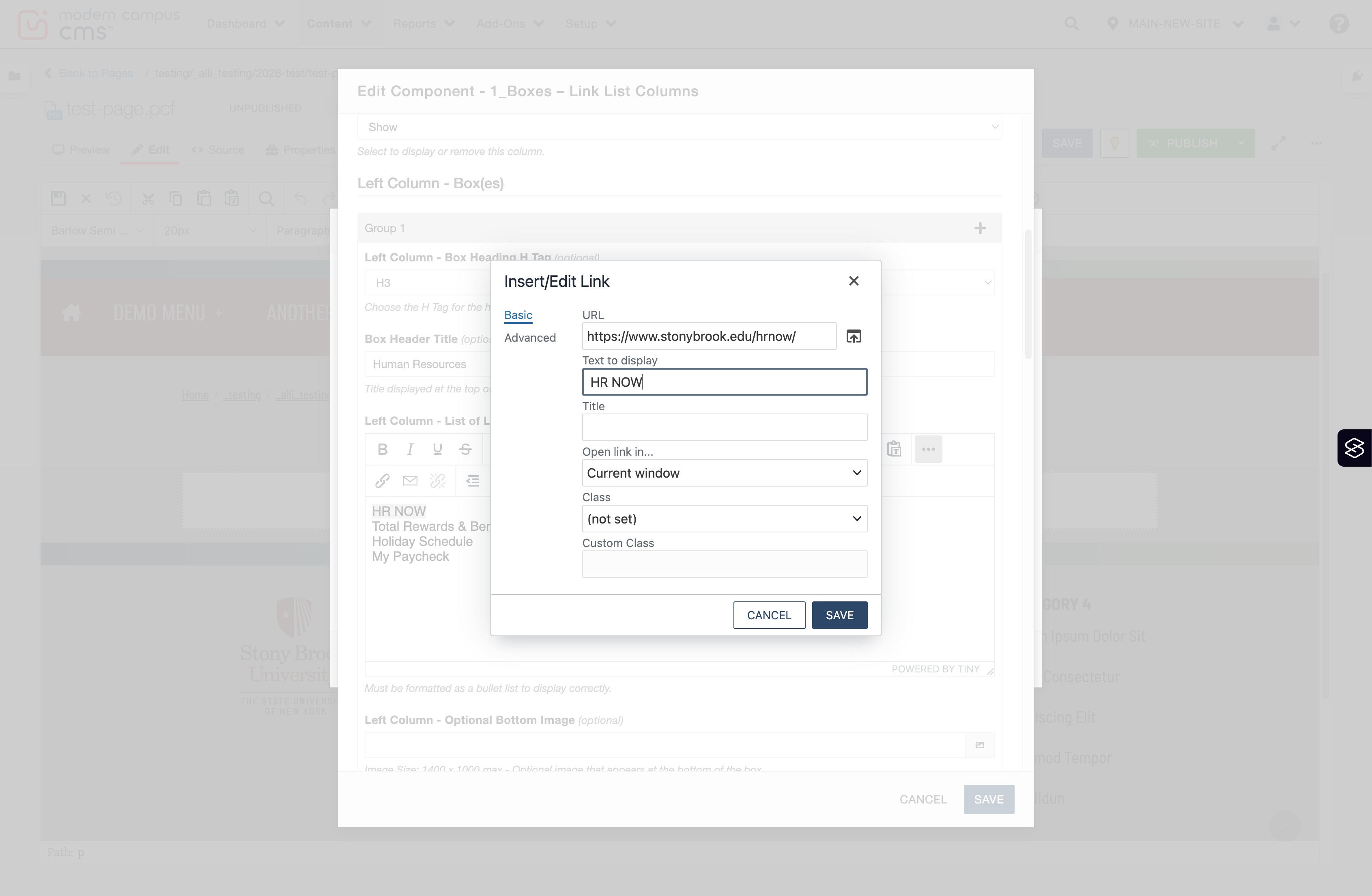 Insert/Edit Link window showing the Text to display field for editing the link label.