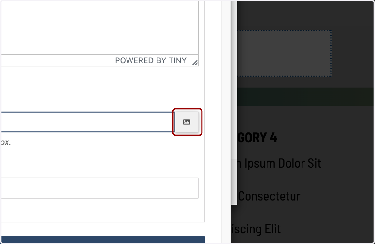 Image field with the image chooser (browse) icon highlighted to select an image from the library.