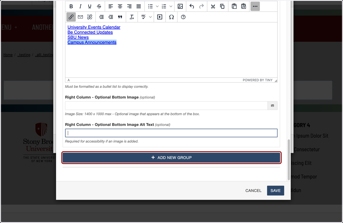 Add New Group button shown for adding an additional link group within a column.