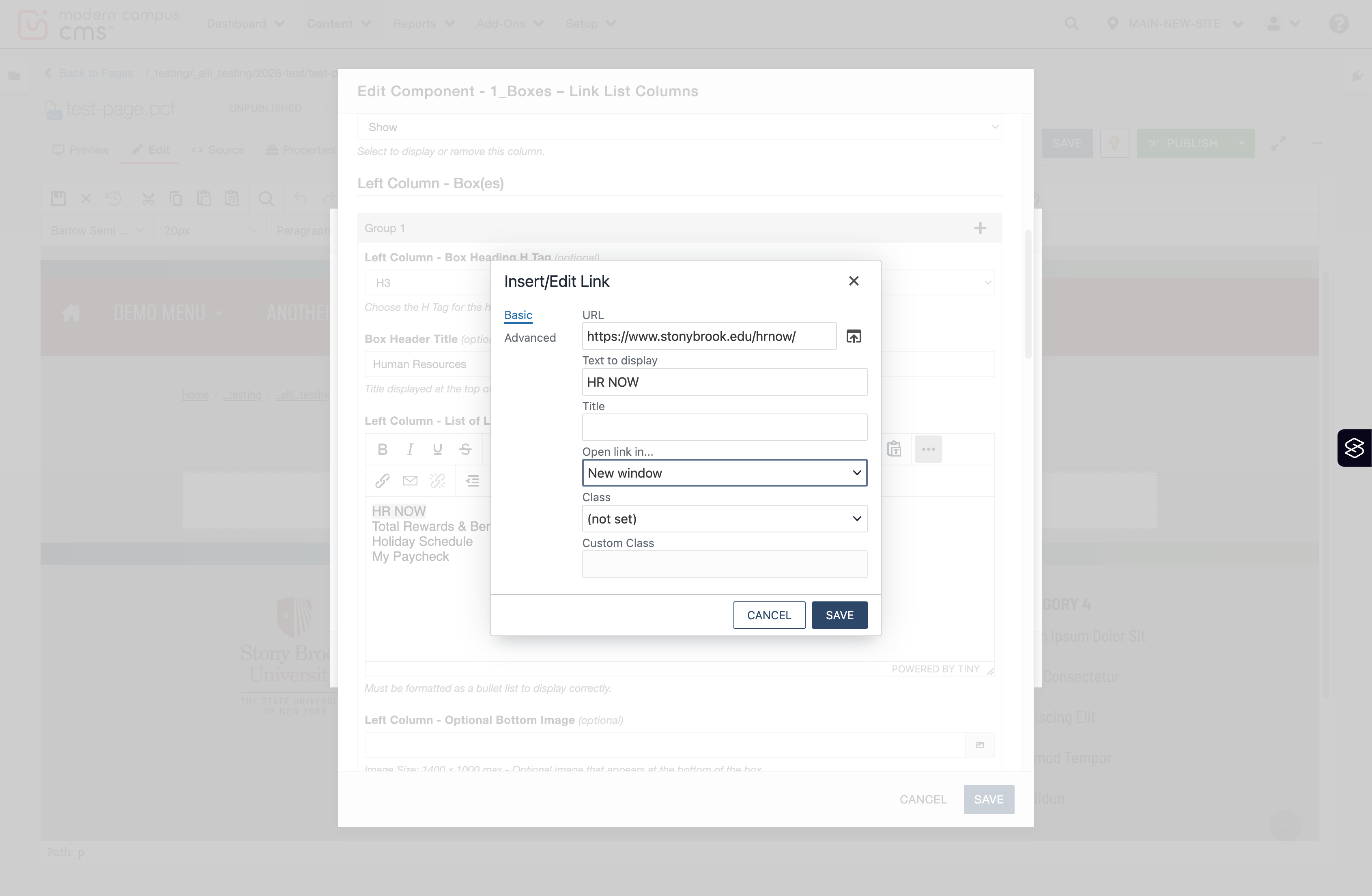 Insert/Edit Link window showing the Target dropdown for choosing Same Window or New Window.