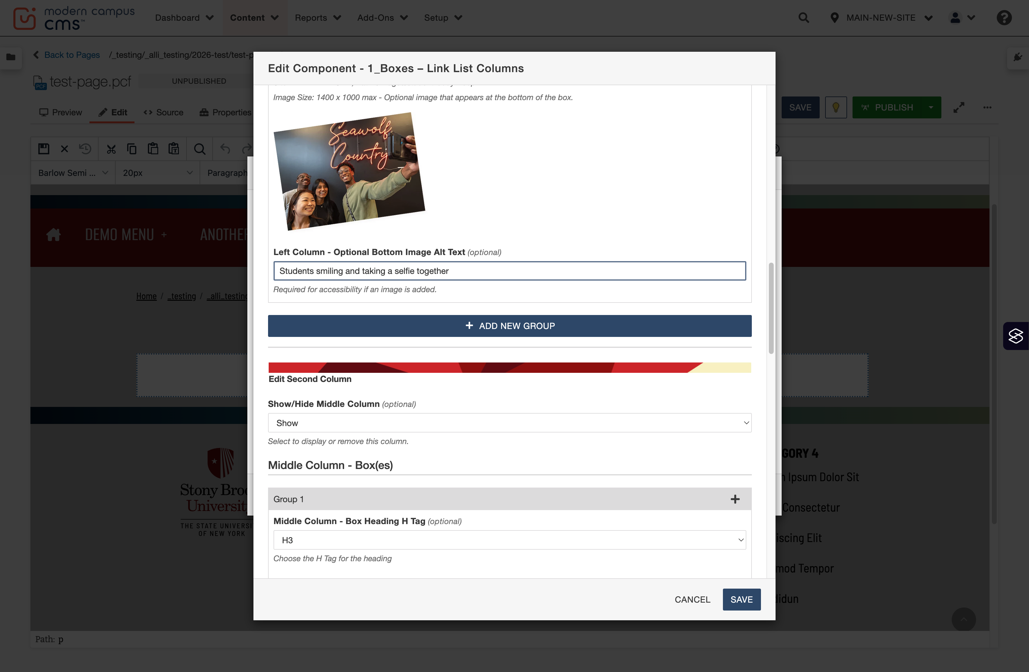First column link group completed, with the Add New Group control visible for adding another group.