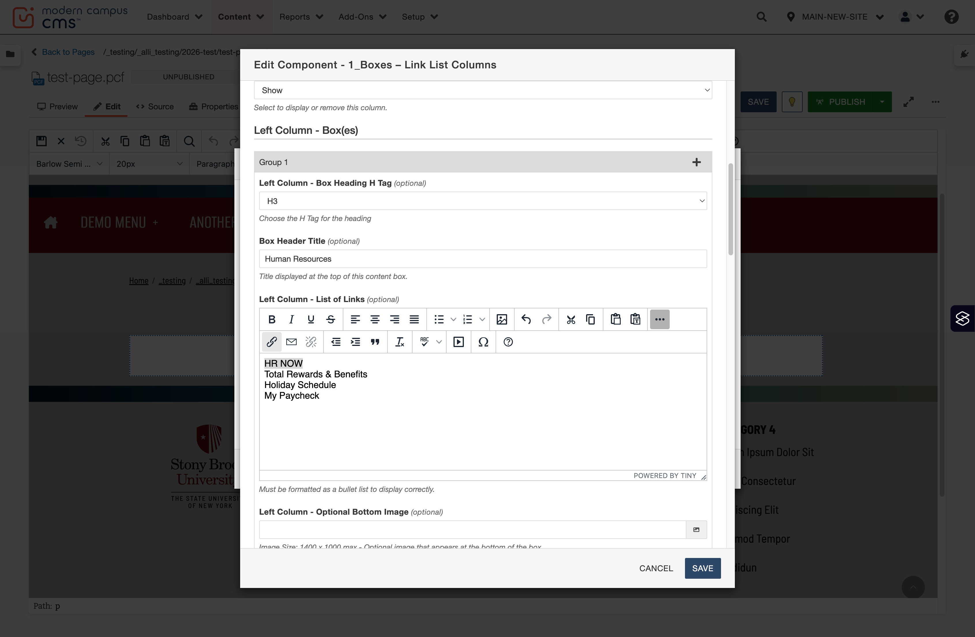 Expanded WYSIWYG toolbar showing the link (chain) icon used to add a hyperlink.