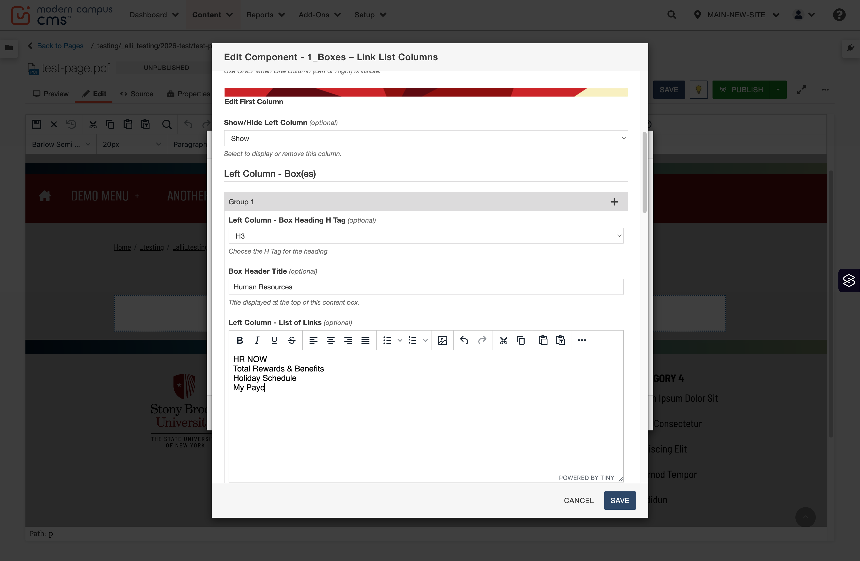WYSIWYG list area showing multiple link titles entered on separate lines (no bullets).